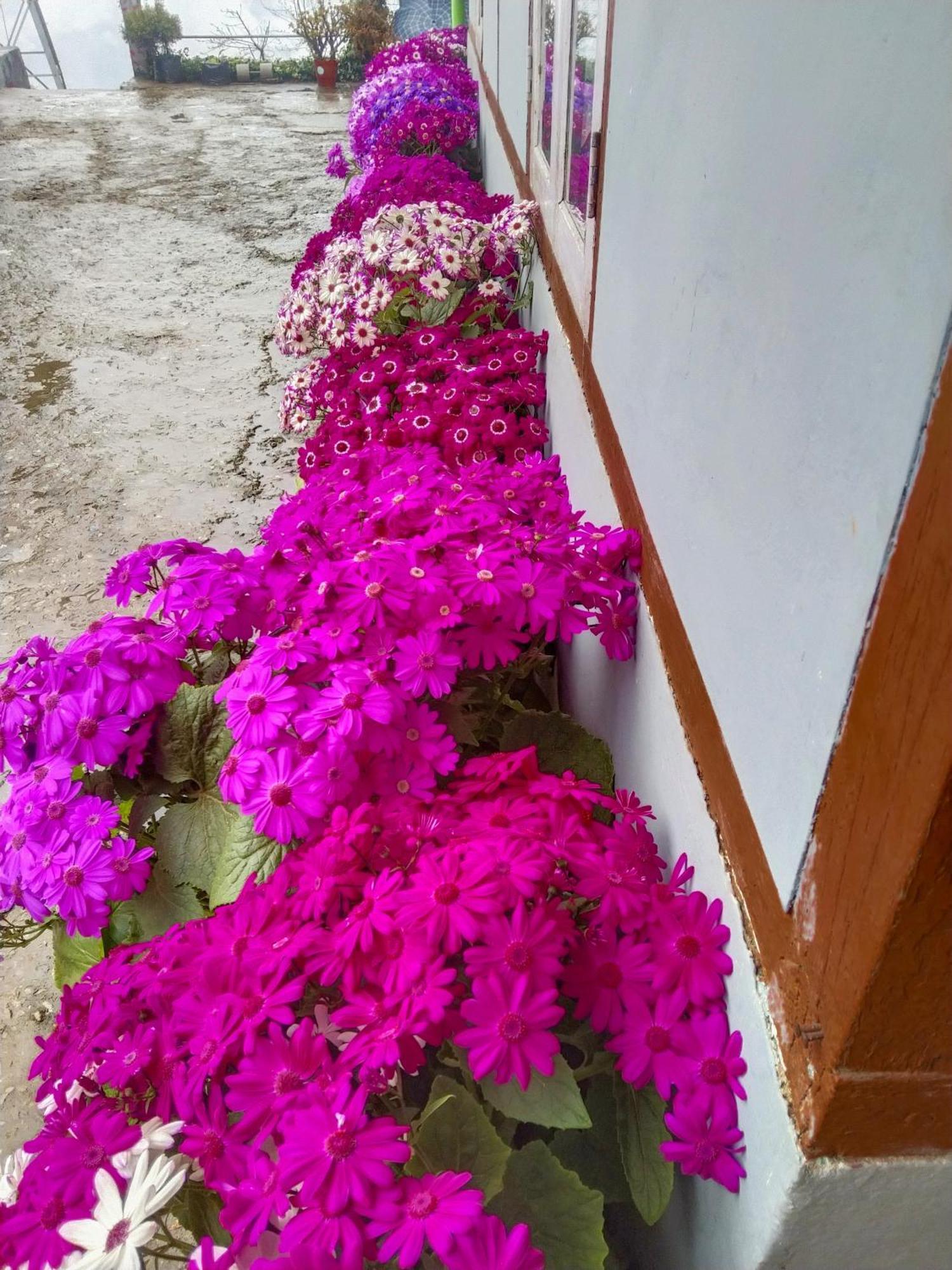The Himalayan Resort Ravangla Exterior photo